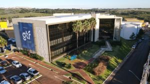 China lidera consumo mundial de frango e impulsiona exportações brasileiras, aponta GTF