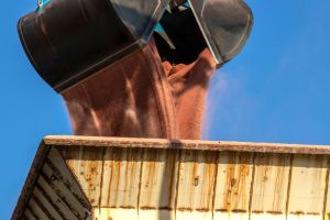 Exportações chinesas de fosfatados caem ao menor nível desde 2013