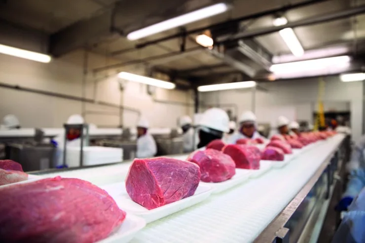 Exportações de carne bovina batem recorde em 2025