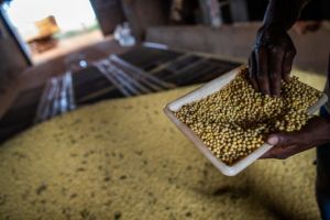 Goiás encerra 2025 com superávit de mais de US$ 8 bilhões na balança comercial