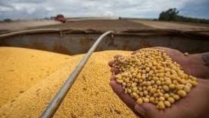 Mato Grosso regulamenta incentivos ao agro e antecipa debate sobre Moratória da Soja