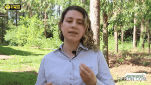 Processamento da soja é essencial para garantir desempenho e segurança na nutrição animal