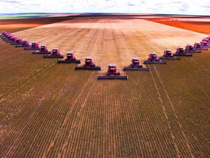 Produção de grãos e área plantada da safra 2025/26 mantém perspectiva de novos recordes