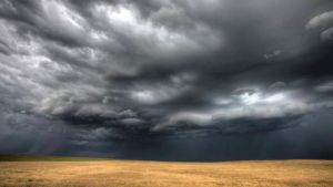 Aprosoja MT alerta que chuvas desafiam colheita da soja e plantio da safrinha de milho em Mato Grosso