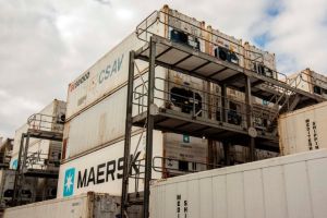 Brasil e Coreia do Sul avançam em negociações sanitárias para ampliar exportações agropecuárias