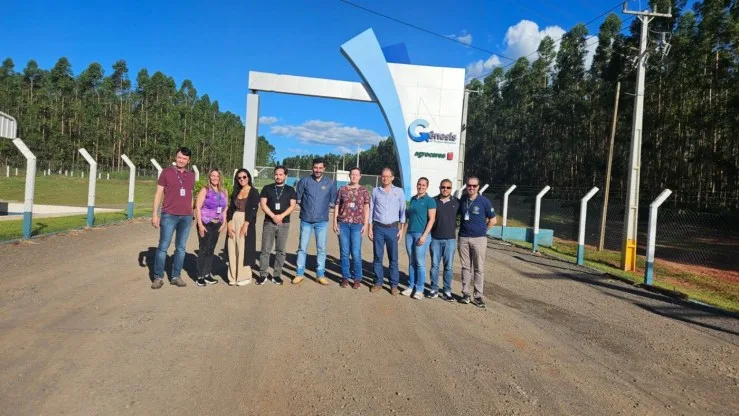 Chile habilita Núcleo Genético Gênesis para exportação de suínos de reprodução