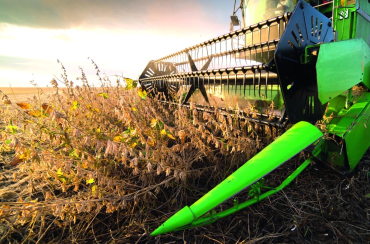 Com colheita da primeira safra em curso, Conab projeta 353,4 milhões de toneladas em 2025/26