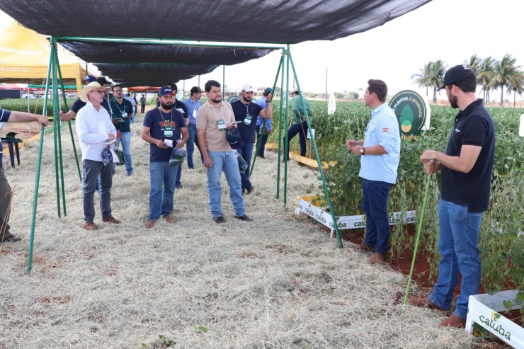 Copagril promove Dias de Campo no Paraná e Mato Grosso do Sul para orientar produtores