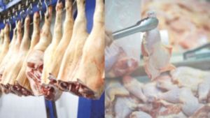 Exportações de carne de frango e suína iniciam 2026 com crescimento nos embarques