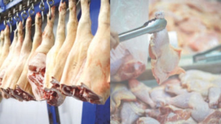 Exportações de carne de frango e suína iniciam 2026 com crescimento nos embarques