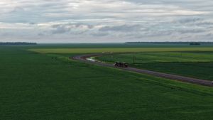 Gargalos logísticos pressionam custos e desafiam a qualidade da produção em Mato Grosso