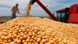 Goiás caminha para a segunda maior safra de grãos da história