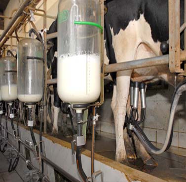 Governo de Goiás lança novo edital do PAA Leite 2026