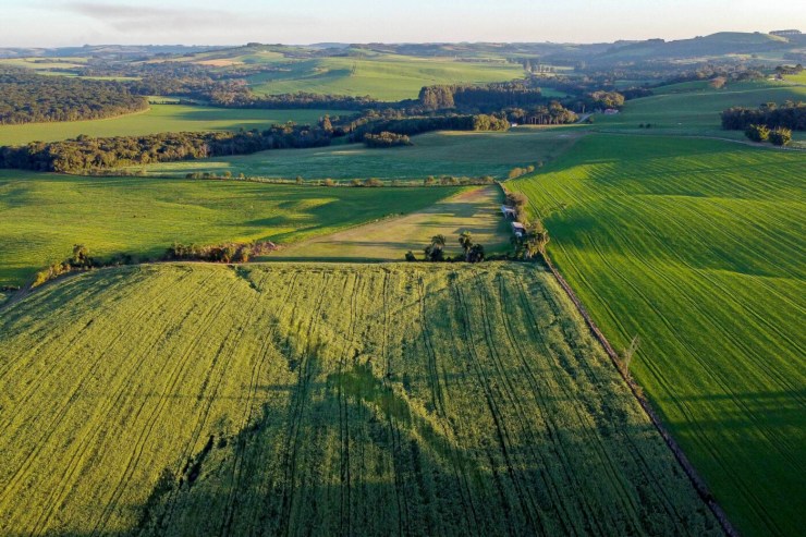 Paraná amplia participação e deve responder por 13,9% da safra nacional de grãos em 2026