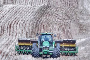 Plantio tardio de soja alcança 38 mil hectares no Rio Grande do Sul