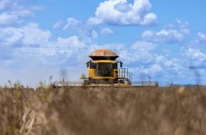 Aprosoja MT destaca importância do campo para toda a sociedade no Dia Mundial da Agricultura