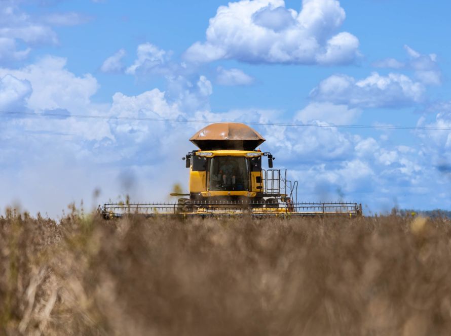 Aprosoja MT destaca importância do campo para toda a sociedade no Dia Mundial da Agricultura