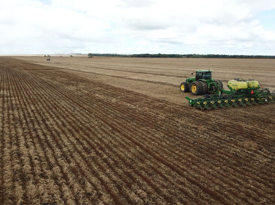 Excesso de chuvas preocupa produtores e impacta plantio do milho em Mato Grosso