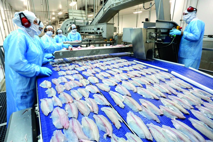 Exportações da piscicultura crescem 2% em valor e atingem US$ 60 milhões em 2025