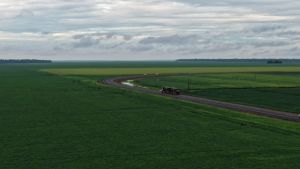 Gargalos logísticos pressionam custos e desafiam a qualidade da produção no Mato Grosso