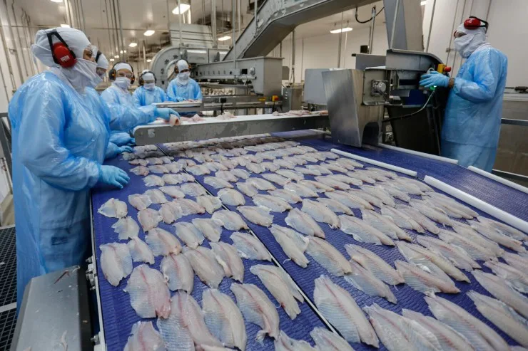 Importações de tilápia ultrapassam exportações pela primeira vez