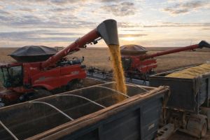 Mato Grosso consolida protagonismo global em soja e milho, mas esbarra em gargalos logísticos