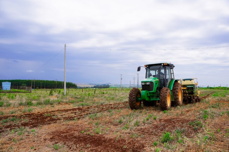 Ritmo de colheita diminui e clima pode afetar produção do milho safrinha no Oeste do Paraná
