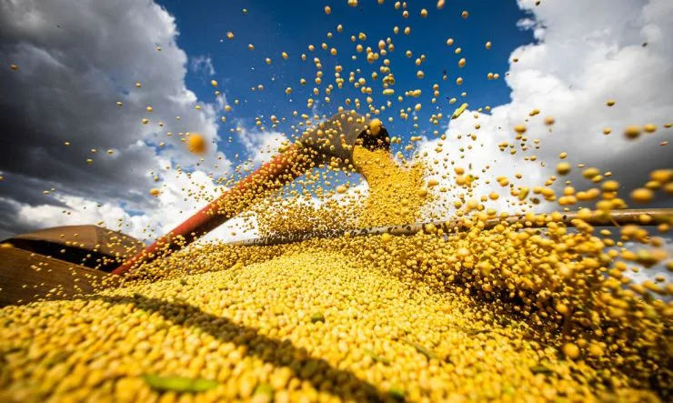 Atrasos na colheita da soja elevam risco para milho safrinha no Brasil
