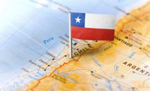 Brasil abre mercado no Chile para DDG e amplia destinos de coproduto do etanol de milho