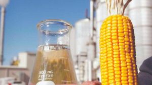 Mato Grosso lidera produção de etanol de milho no Brasil