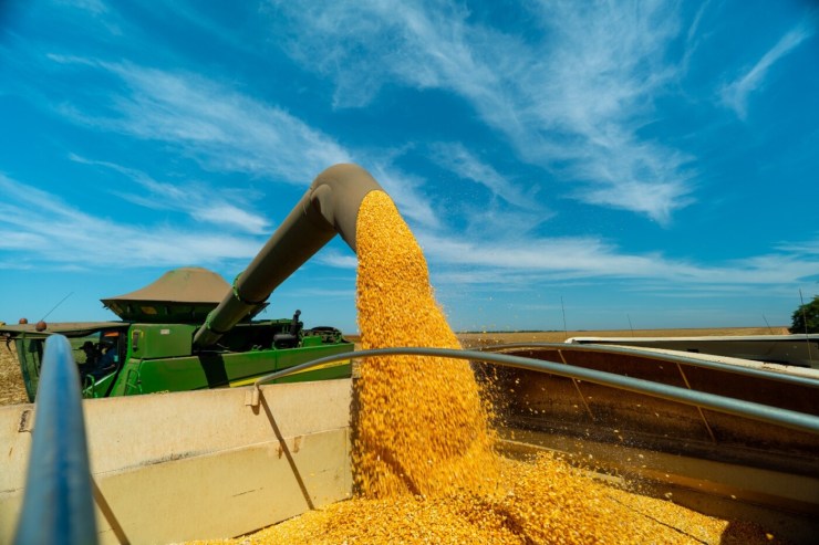 Mato Grosso se consolida como maior produtor de etanol de milho do Brasil