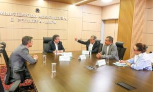 Ministério da Agricultura e ApexBrasil alinham estratégia para ampliar exportações do agro
