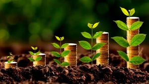 PRODES/INPE: Aprosoja MT alerta FPA para restrição indevida do CMN ao Crédito Rural