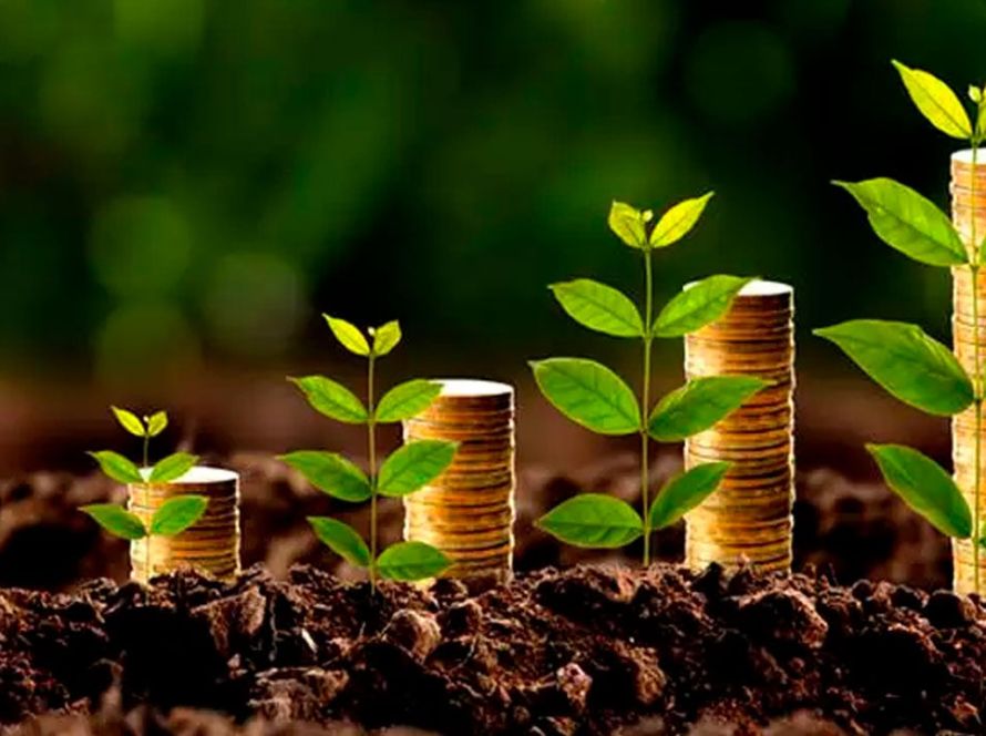 PRODES/INPE: Aprosoja MT alerta FPA para restrição indevida do CMN ao Crédito Rural