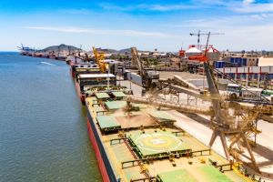 Porto de Paranaguá concentra 70% das exportações brasileiras de óleo de soja