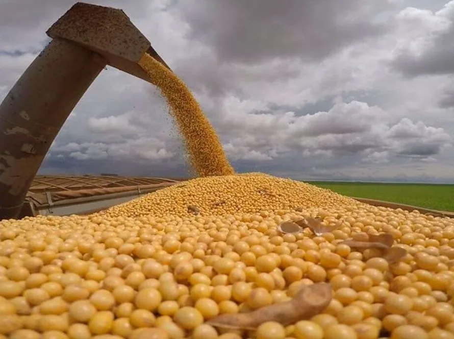 Produtividade da soja é revisada de 52,8 para 61,7 sacas por hectare no Mato Grosso do Sul