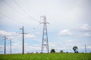 Produtores rurais do Mato Grosso cobram melhorias no fornecimento de energia elétrica