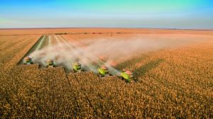 Safra de grãos do Brasil deve atingir 348,4 milhões de toneladas, aponta IBGE