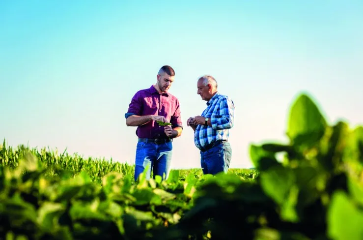 Agro mais que dobra número de empregos em Mato Grosso