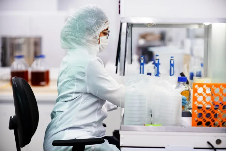 Brasil tem biotecnologia nacional para atender exigências impostas às exportações de carne