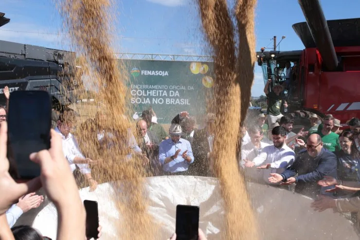 Colheita da soja atinge 77% em Santa Rosa com produtividade estimada em 2.350 kg por hectare