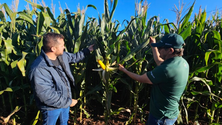 Copagril destaca manejo e cobertura de solo em Dia de Campo Milho Safrinha