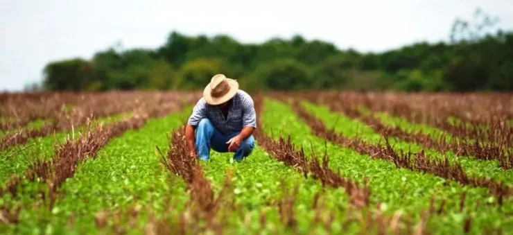 Crise financeira no agro ameaça próxima safra no país