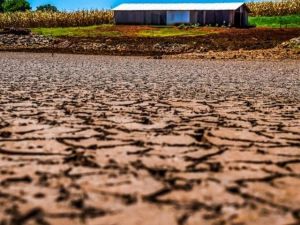 El Niño eleva risco de chuvas abaixo da média no Nordeste em 2026
