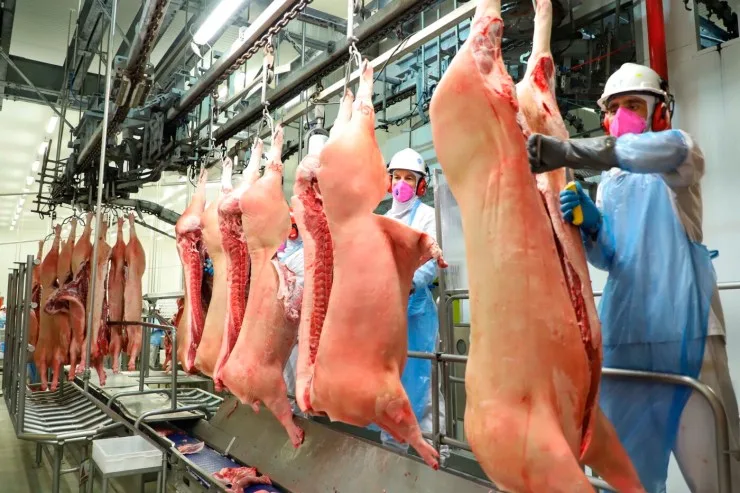 Exportações de carne suína atingem 138,3 mil toneladas em abril