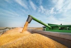 Mato Grosso deve ampliar produção de etanol em 16% na safra 2026/27