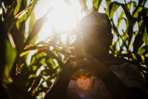 Rally da Safra projeta queda na produtividade do milho e safra abaixo do recorde anterior