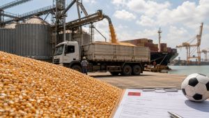 Adversário do Brasil na Copa do Mundo compra 1,37 milhão de toneladas de milho de Mato Grosso
