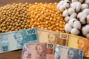 Comercialização do milho avança no Mato Grosso, enquanto do algodão e exportações de soja desaceleram em maio