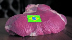 Exportações de carne bovina batem recorde histórico até maio